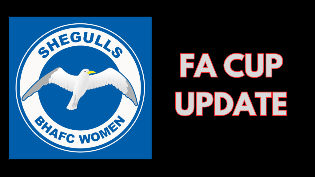 Match Result: Luton 0-6&nbsp;Brighton