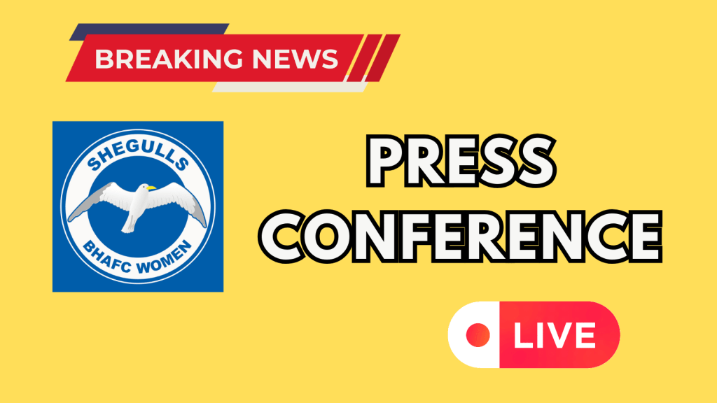 PRESS CONFERENCE – DARIO’S&nbsp;DEBUT!