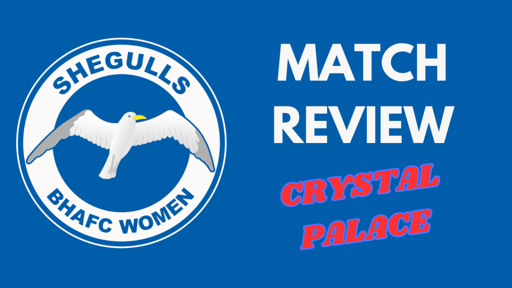 Match Review: Crystal Palace 0-1&nbsp;Brighton