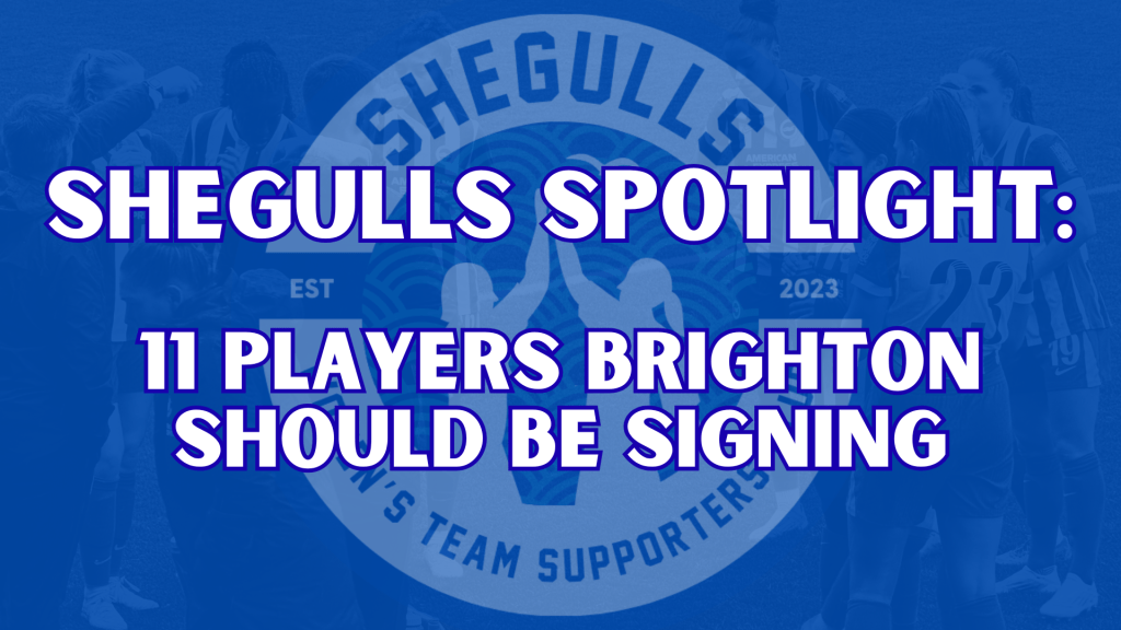 11 PLAYERS BRIGHTON SHOULD BE&nbsp;SIGNING